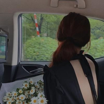 百合与直觉