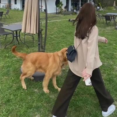 失控少年兵团
